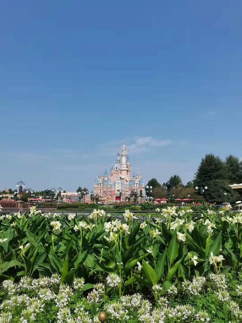 大型“嗑产”连续剧《毒奶在哪里》Season 3——《毒奶在哪里·上海篇2》