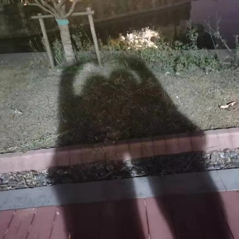 我磕我们仨の二三月日常